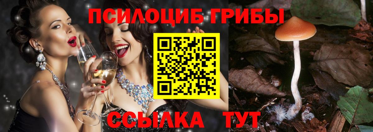 Псилоцибиновые грибы Psilocybine cubensis Ульяновск
