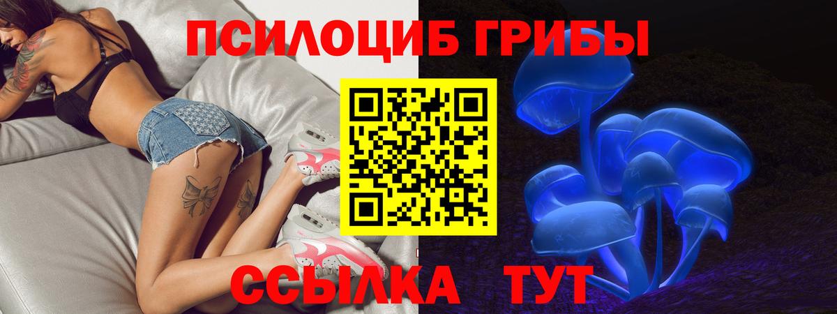 Ульяновск  Псилоцибиновые грибы мухоморы  Вход с VPN 